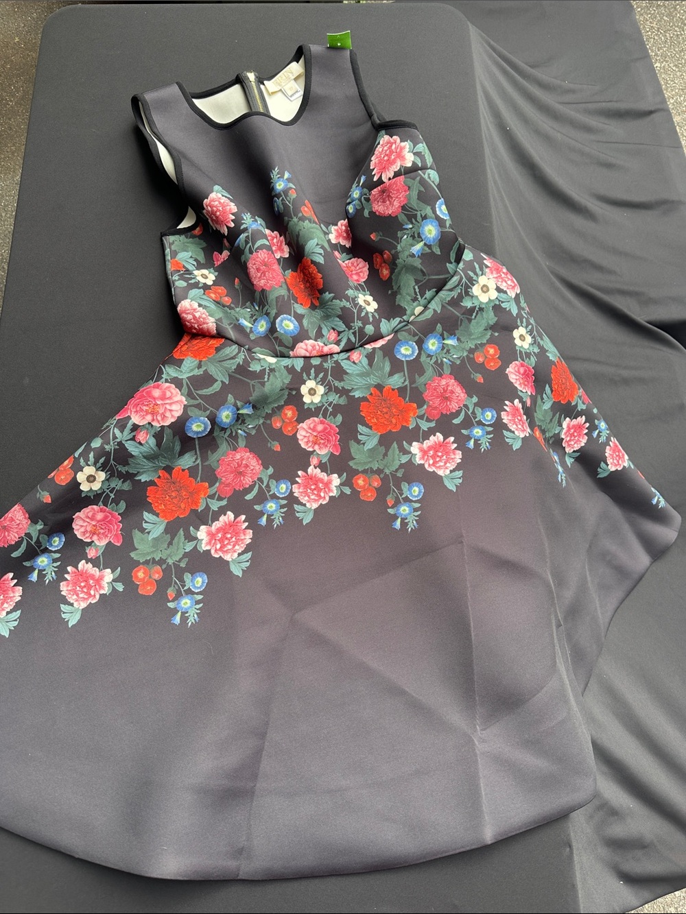 ERIN by Erin Fetherston Black Midi Dress with Red, Pink and Blue Floral Print